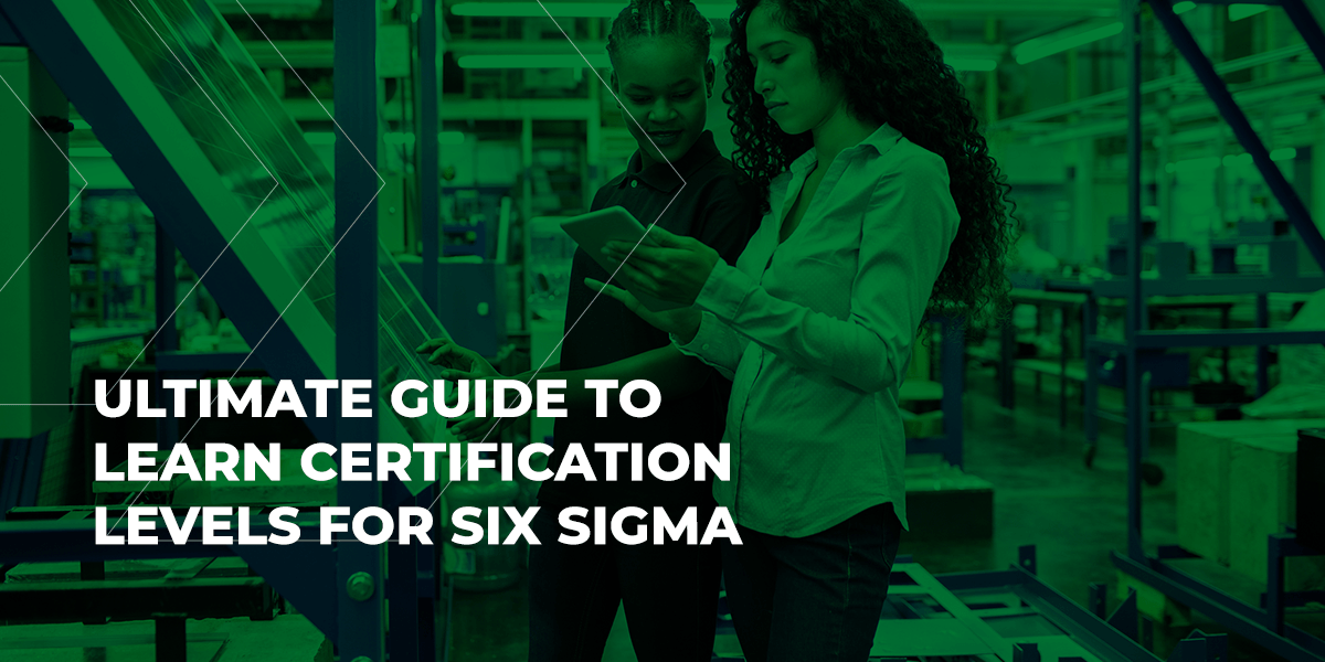 Six Sigma Belts Levels Explained